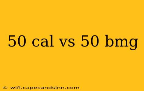 50 cal vs 50 bmg