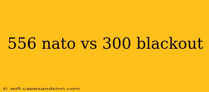 556 nato vs 300 blackout