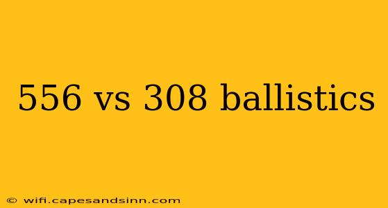 556 vs 308 ballistics