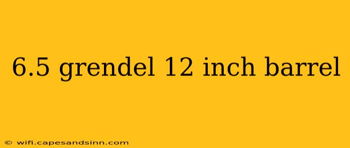 6.5 grendel 12 inch barrel