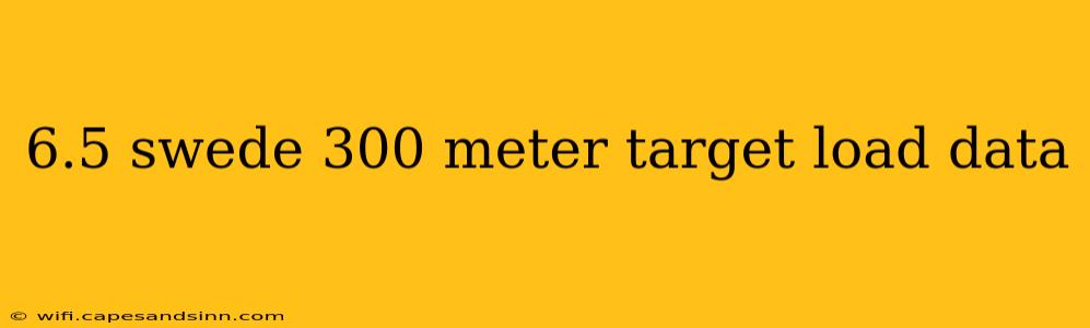 6.5 swede 300 meter target load data