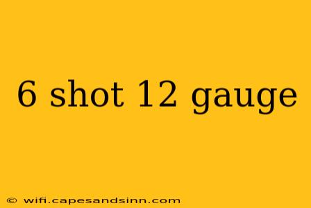 6 shot 12 gauge