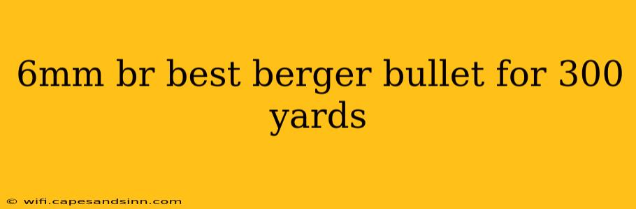 6mm br best berger bullet for 300 yards