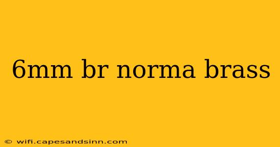 6mm br norma brass