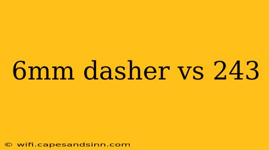 6mm dasher vs 243