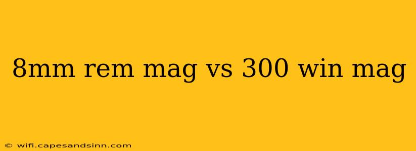 8mm rem mag vs 300 win mag