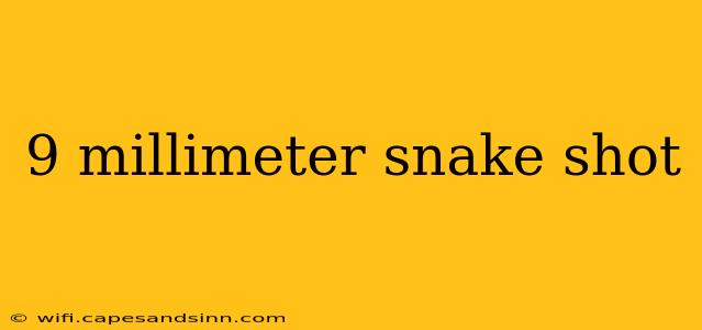 9 millimeter snake shot