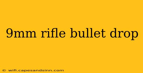 9mm rifle bullet drop