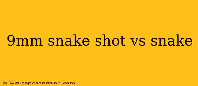 9mm snake shot vs snake