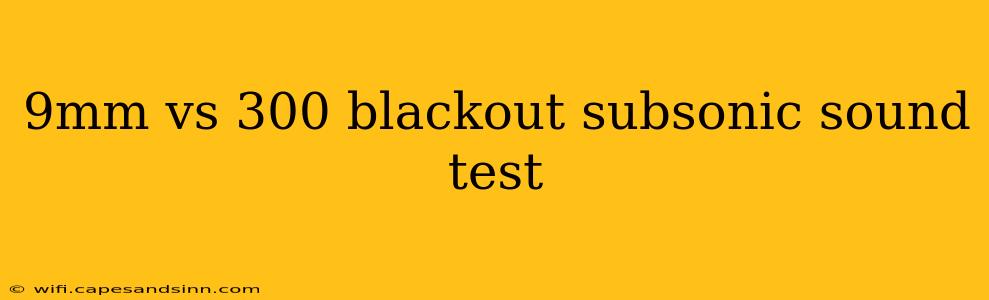 9mm vs 300 blackout subsonic sound test