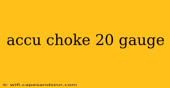 accu choke 20 gauge