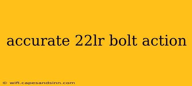 accurate 22lr bolt action