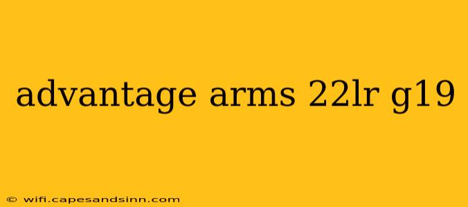 advantage arms 22lr g19