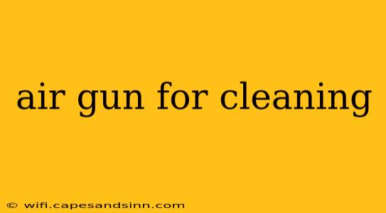 air gun for cleaning