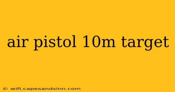 air pistol 10m target