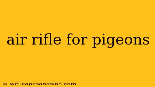 air rifle for pigeons