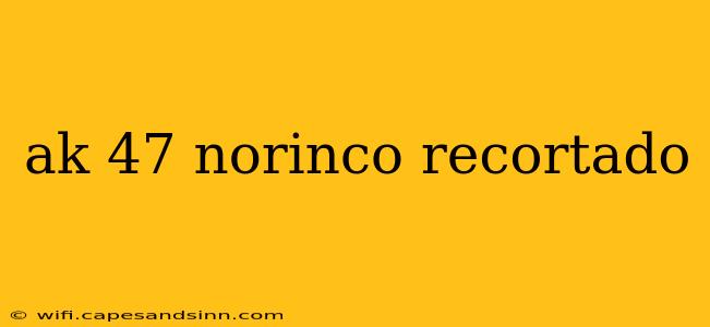 ak 47 norinco recortado