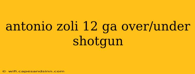 antonio zoli 12 ga over/under shotgun