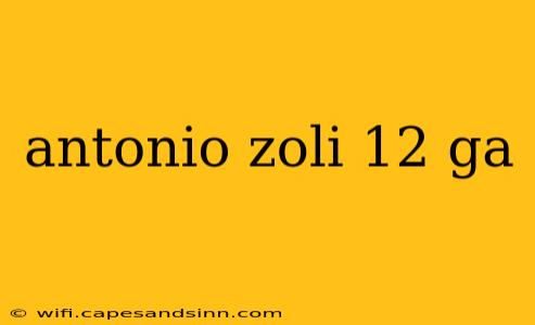 antonio zoli 12 ga