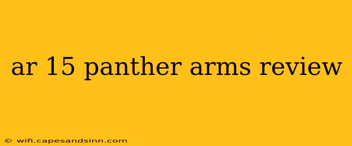 ar 15 panther arms review