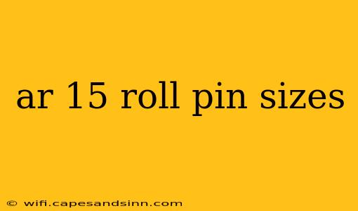 ar 15 roll pin sizes