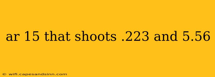 ar 15 that shoots .223 and 5.56