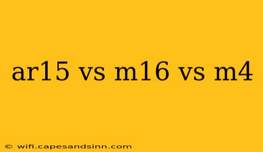 ar15 vs m16 vs m4