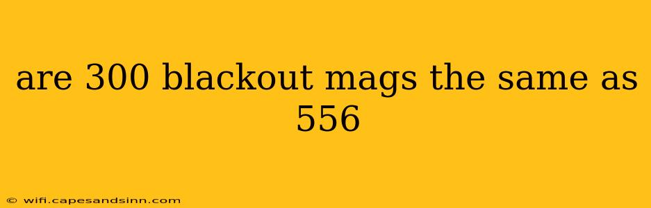 are 300 blackout mags the same as 556