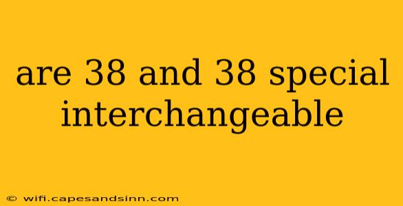 are 38 and 38 special interchangeable