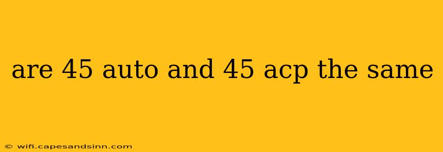 are 45 auto and 45 acp the same