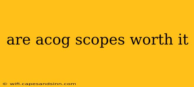 are acog scopes worth it