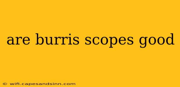 are burris scopes good