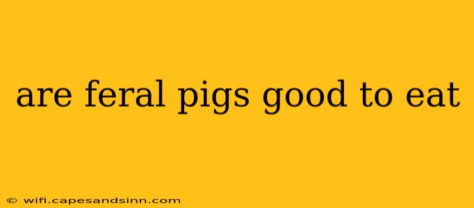 are feral pigs good to eat