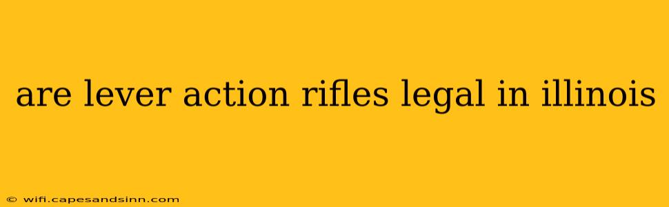 are lever action rifles legal in illinois