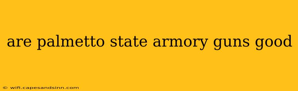 are palmetto state armory guns good