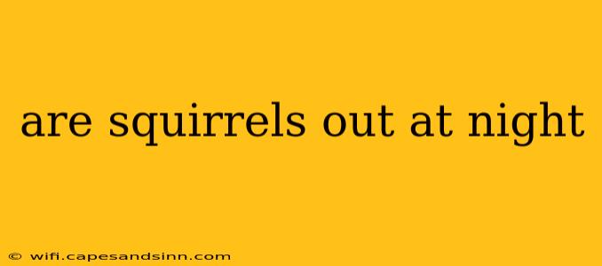 are squirrels out at night