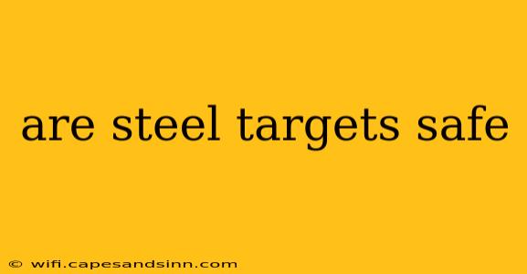 are steel targets safe