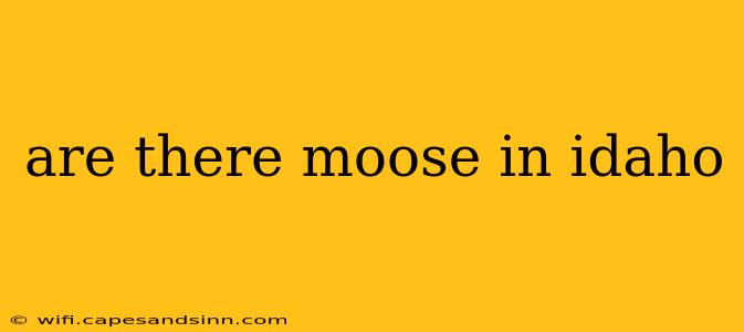 are there moose in idaho