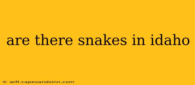 are there snakes in idaho