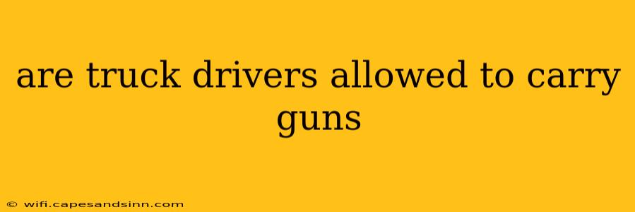 are truck drivers allowed to carry guns