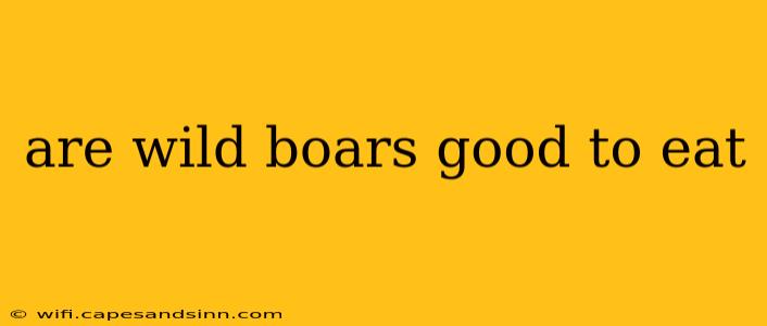 are wild boars good to eat