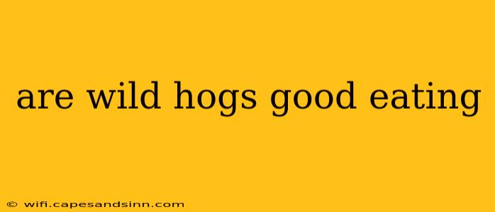 are wild hogs good eating