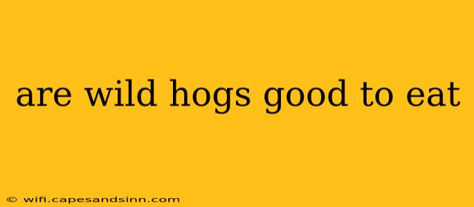 are wild hogs good to eat