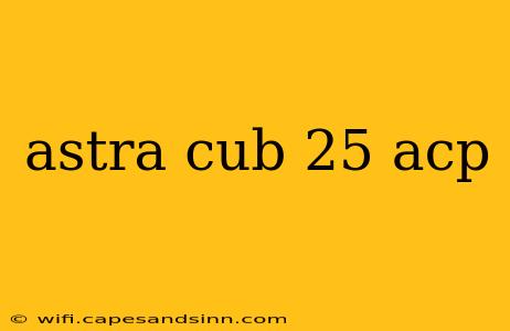 astra cub 25 acp