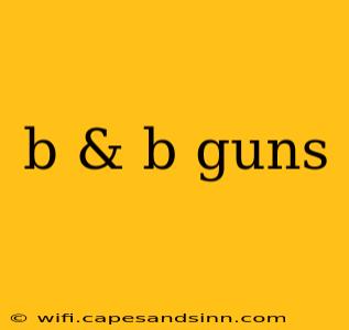 b & b guns