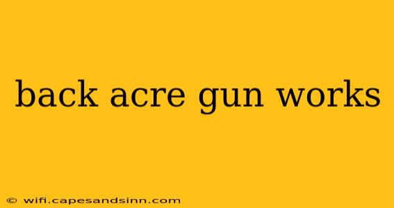 back acre gun works