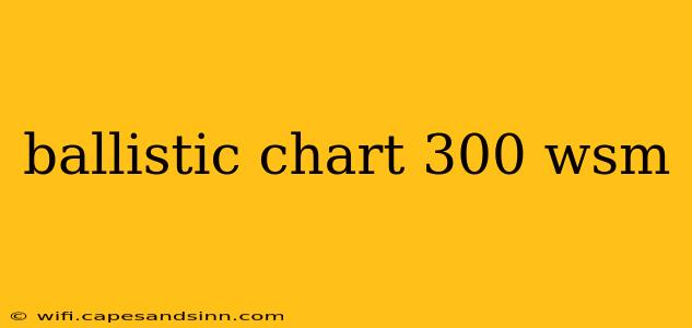 ballistic chart 300 wsm