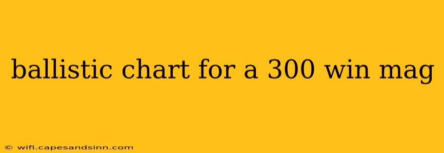 ballistic chart for a 300 win mag