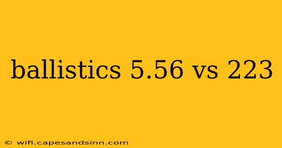 ballistics 5.56 vs 223