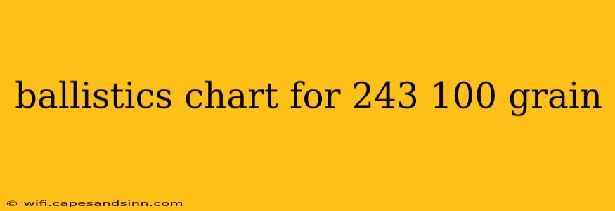 ballistics chart for 243 100 grain